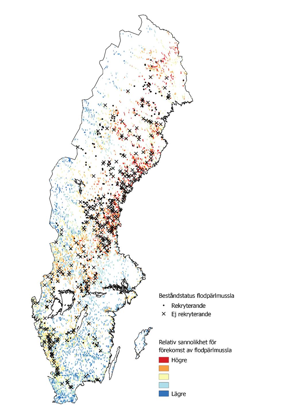 Figur 11. Figuren visar modellprediktionen avsatt på en karta likt figur 10, men med de dokumenterade förekomsterna av flodpärlmussla ovanpå.