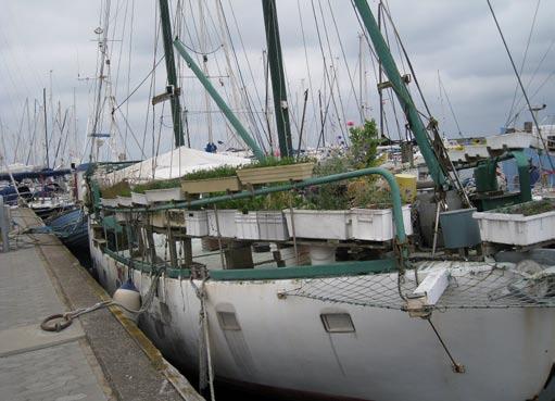 Kom till Nordön en eftermiddag i juli för några år sedan. Bestämde destination Laesö. Eftersom det började bli kväll beslutade vi att övernatta i Bohus Björkö s fina gästhamn. Vaknade tidigt.