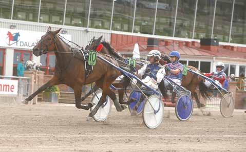 nyhetsbörsen september2014 140901 Maidonna avlade maiden Idag tog Maidonna karriärens första seger. Tillsammans med sin tränare och delägare Leif Witasp överraskade hon på Rommetravet.