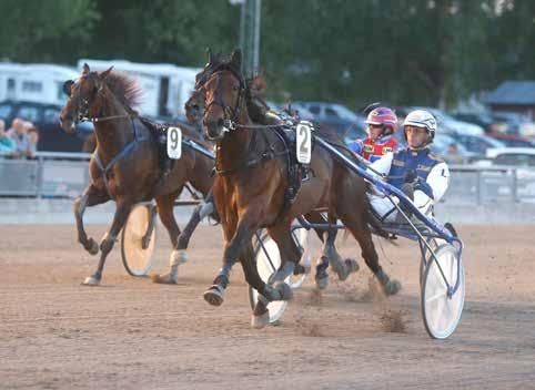 Foto: Micke Gustafsson/Foto-Mike Maidonna hade varit ifrån tävlingsbanan en ganska lång tid inför dagens start och tränare Witasp gav henne därför en smyglöpning.