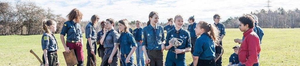 På det stora hela har avdelningsverksamheten fungerat bra och våra scouter har vuxit under året kunskapsmässigt och mentalt