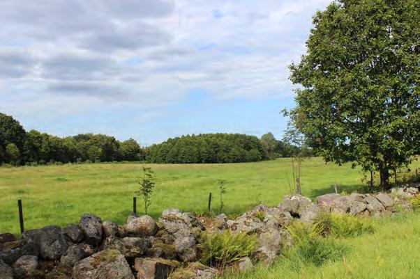 Landskapet runt Bergkvara är fullt med lämningar som belyser godsets historiska utveckling på skilda sätt, alltifrån Arvid Trolles stenhus till det sena 1800-talets torpställen.