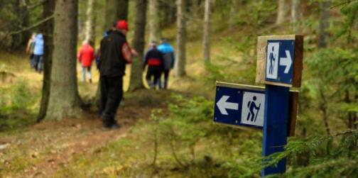 Vandring med FUB Nu kommer snart sköna våren och med den lusten att ut och vandra i naturen FUB erbjuder dig som vill vandra tillsammans med andra att följa med till Dumme Mosse.