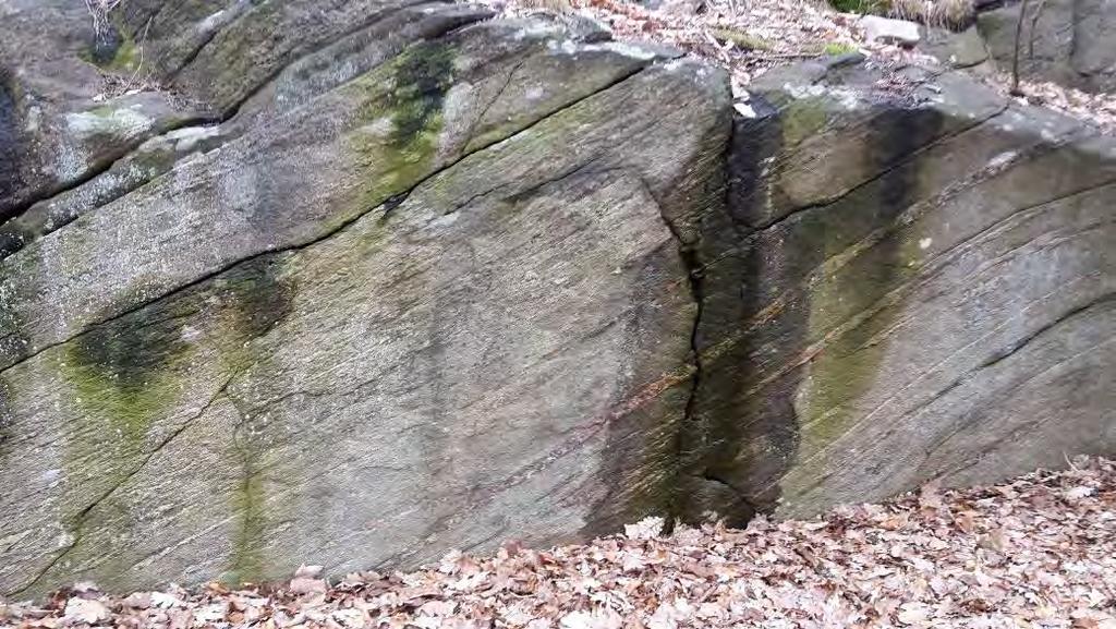 4 (9) Figur 2. Förekommande bergart: rödgrå ådergnejs. Tabell 1 Uppmätta sprickgrupper Sprickgrupp Lutning Strykning/stupning Anmärkningar 1 Flack mot väst 190-210 /25-40 Parallell med foliationen.