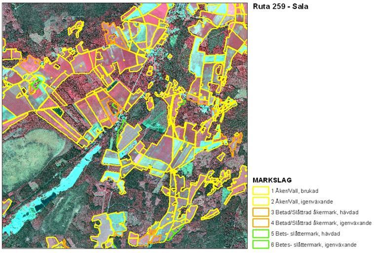 Flygbildstolkning i LillNILS Underlag för detaljerade fältkartor Avgränsning av gräsmark och myrar där provytor läggs ut