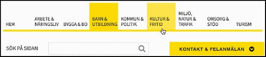 Webbutveckling Sida 81 / är dessutom extra viktigt för användare med sämre precision och finmotorik att klickbara ytor (knappar, ikoner, länkar med mera) är tillräckligt stora.