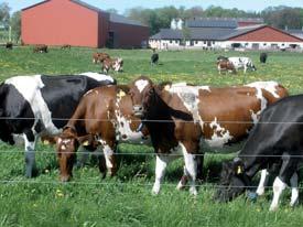 Protein från vllen Hur gör mn? Eliset Ndeu, Inst för husdjurens miljö oh häls, SLU Sid 4 v 4 Tk för visd uppmärksmhet!