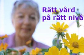 slutrapport multisjuka för och projekt multisviktande