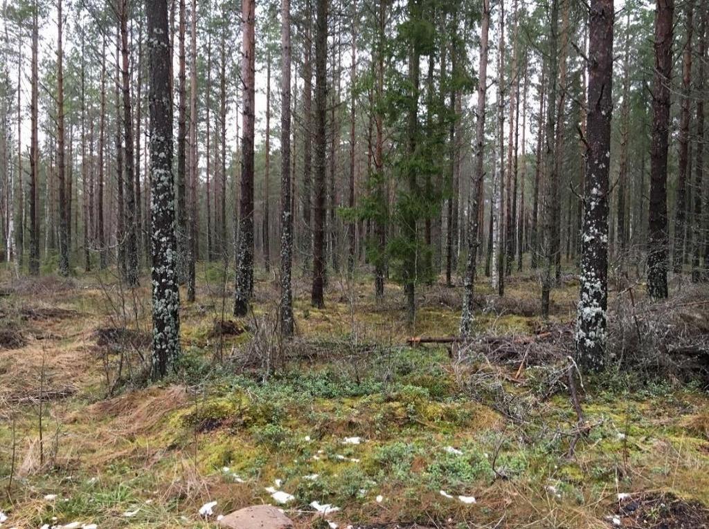 Ett alternativ i detta vägval är att i dagsläget enbart satsa på reservvatten till Eksjö och förbättring av avloppsreningen i Hult, i likhet med vägval 6.