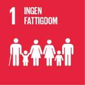 Avskaffa all form av fattigdom överallt.