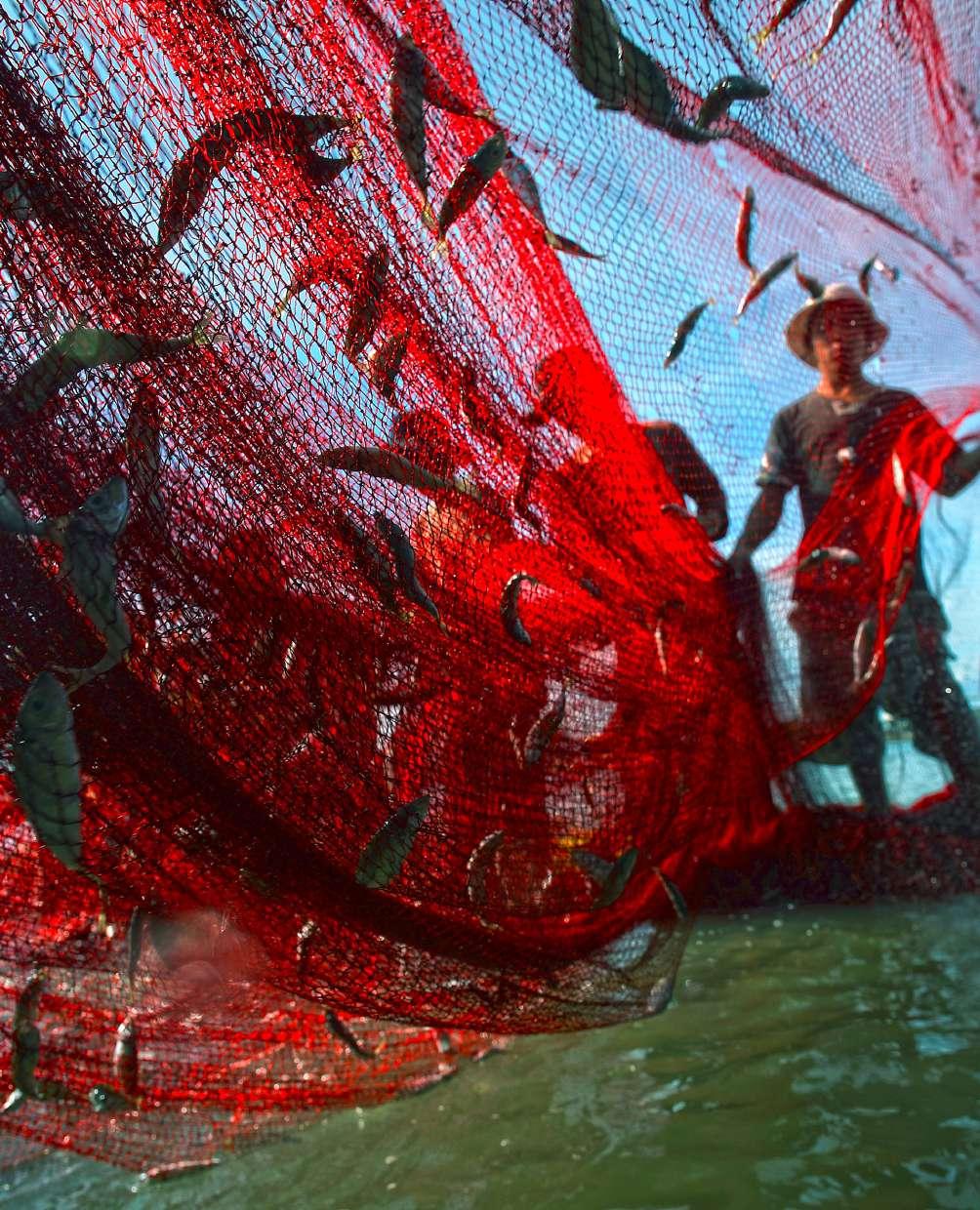 Foto: UNDP Vietnam / Tran Vinh Nghia 6 BLIR VÄRLDEN BÄTTRE?