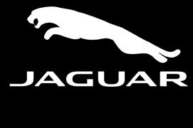 Jaguar 5
