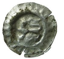 Fig. 6. Lebard präglad i Lund. Myntet har hittats i s:t Johannes kapellruin, Öland. också kallas penning lybsk och søslingen eller sexpenningen.