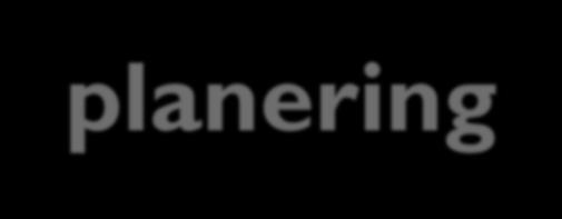 åtgärdsgenomförande och en