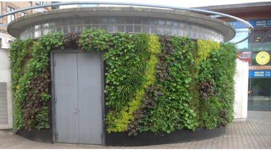 Gröna väggar bidrar inte bara till en bättre ljudmiljö på platsen utan bidrar även till ökad biologiska mångfalden.