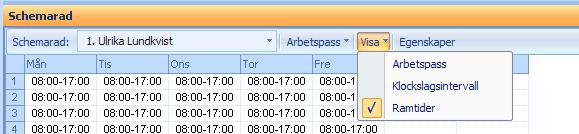 De olika visningsalternativen finns under rubriken Visa.