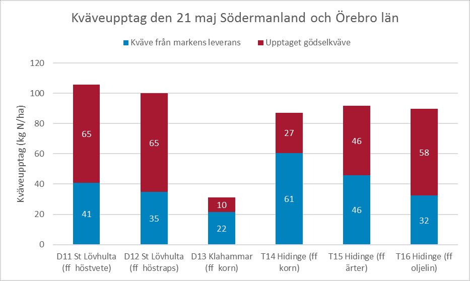 Diagram 7. Kväveupptag i Södermanlands och Örebro län den 19 maj.