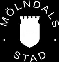 TEN 316/17 Dokumenthanteringsplan Kärnprocesser i Mölndals stad 5.