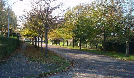 Grönstruktur Vellinge har framför allt sin grönska i och kring bostadsområdena.