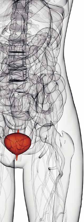 Combating Bladder Cancer with