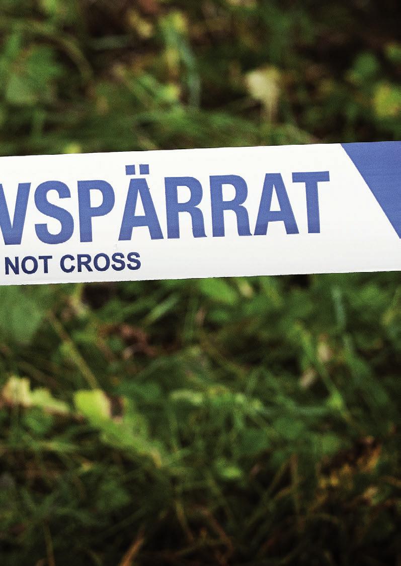 Ekobrottsmyndighetens kompetens och resurser efterfrågas alltmer i den myndighetsgemensamma satsningen mot