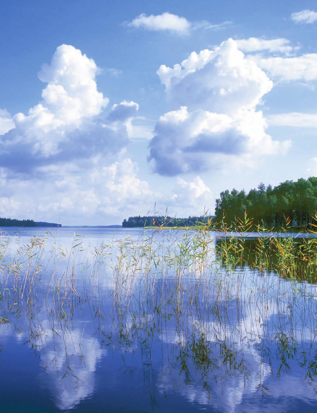 ÅRSREDOVISNING 2011