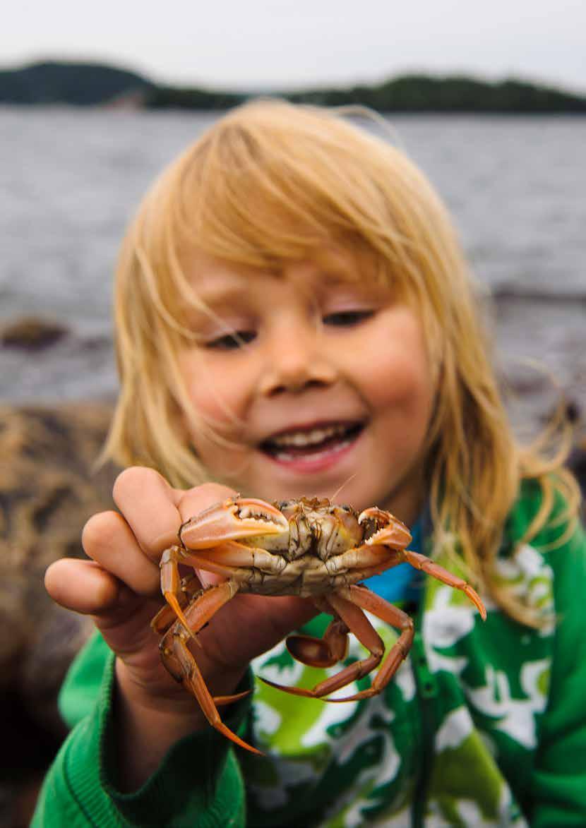antagandehandling 180705 BLÅ ÖVERSIKTSPLAN FÖR NORRA BOHUSLÄN fördjupad översiktsplan