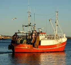 Gedigen erfarenhet i kombination med dagens kunskap och forskning gör marina livsmedel till ett område med betydande utvecklingspotential.