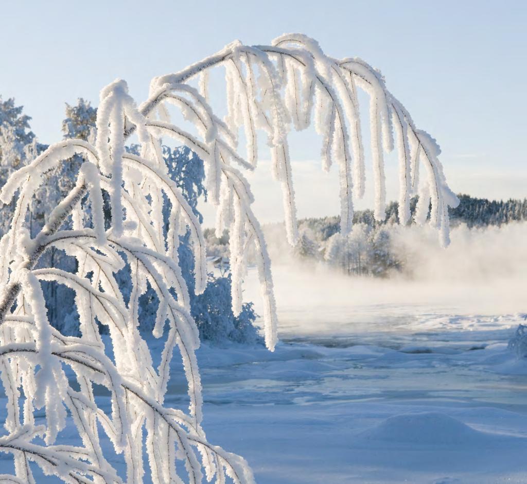 Ett brusande äventyr från fjäll till hav, med naturens och kulturens mångfald som källa till utveckling, upplevelser och livskvalitet!