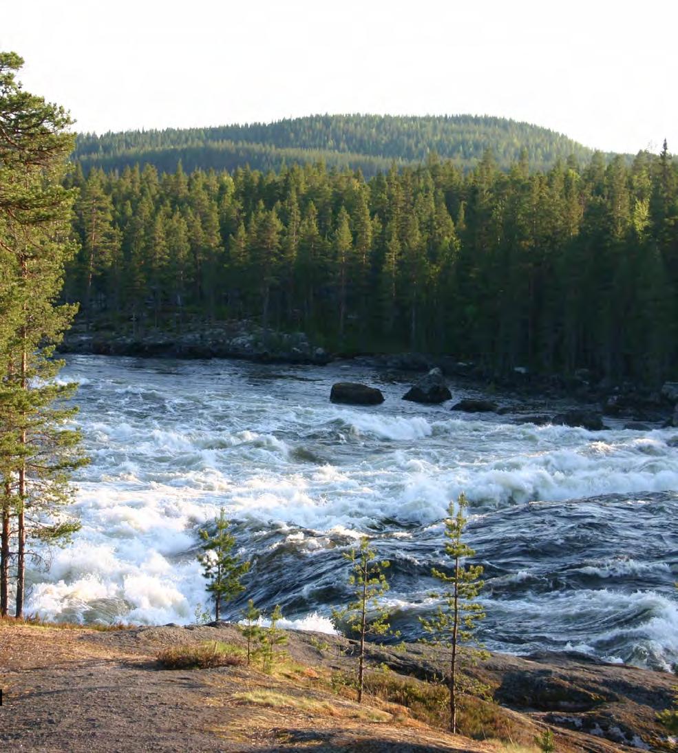 ett globalt fenomen. Den kunskap om delaktiggörande processer och tekniker som skapas och vinns i Vindelälvsdalen kan fungera som inspiration och stöd för många runt om i världen.