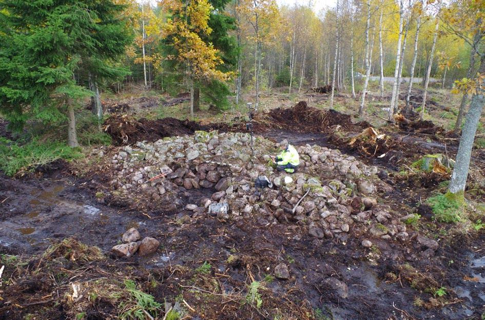 Figur 8. Större röse med röjningssten inom yta 3.