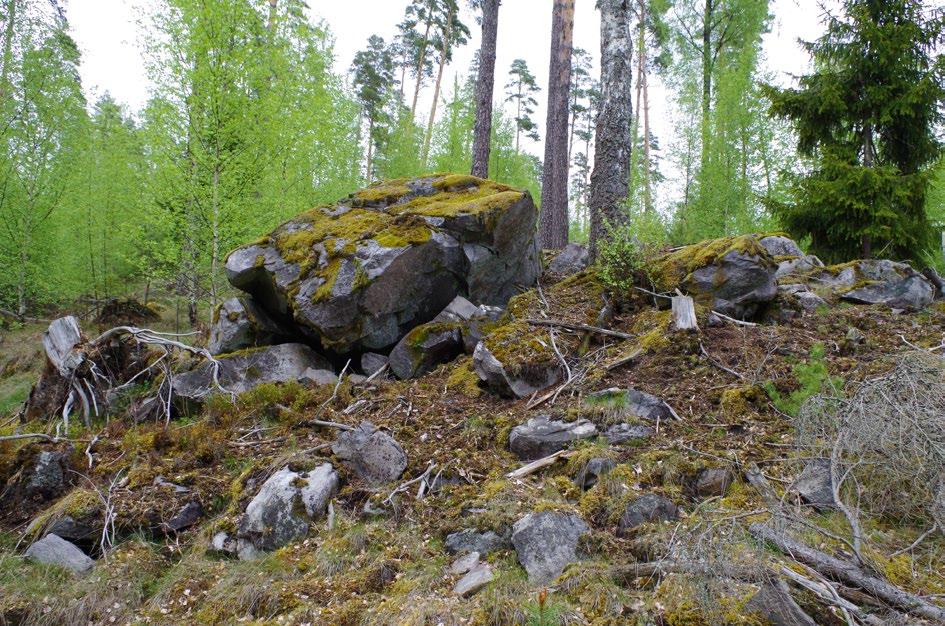 minst tre kolningshorisonter med mellanliggande siltlager som visar att gropen sannolikt använts vid flera tillfällen (fig. 10 & 11). I botten och kanten på gropen fanns enstaka nedgrävda stenar.