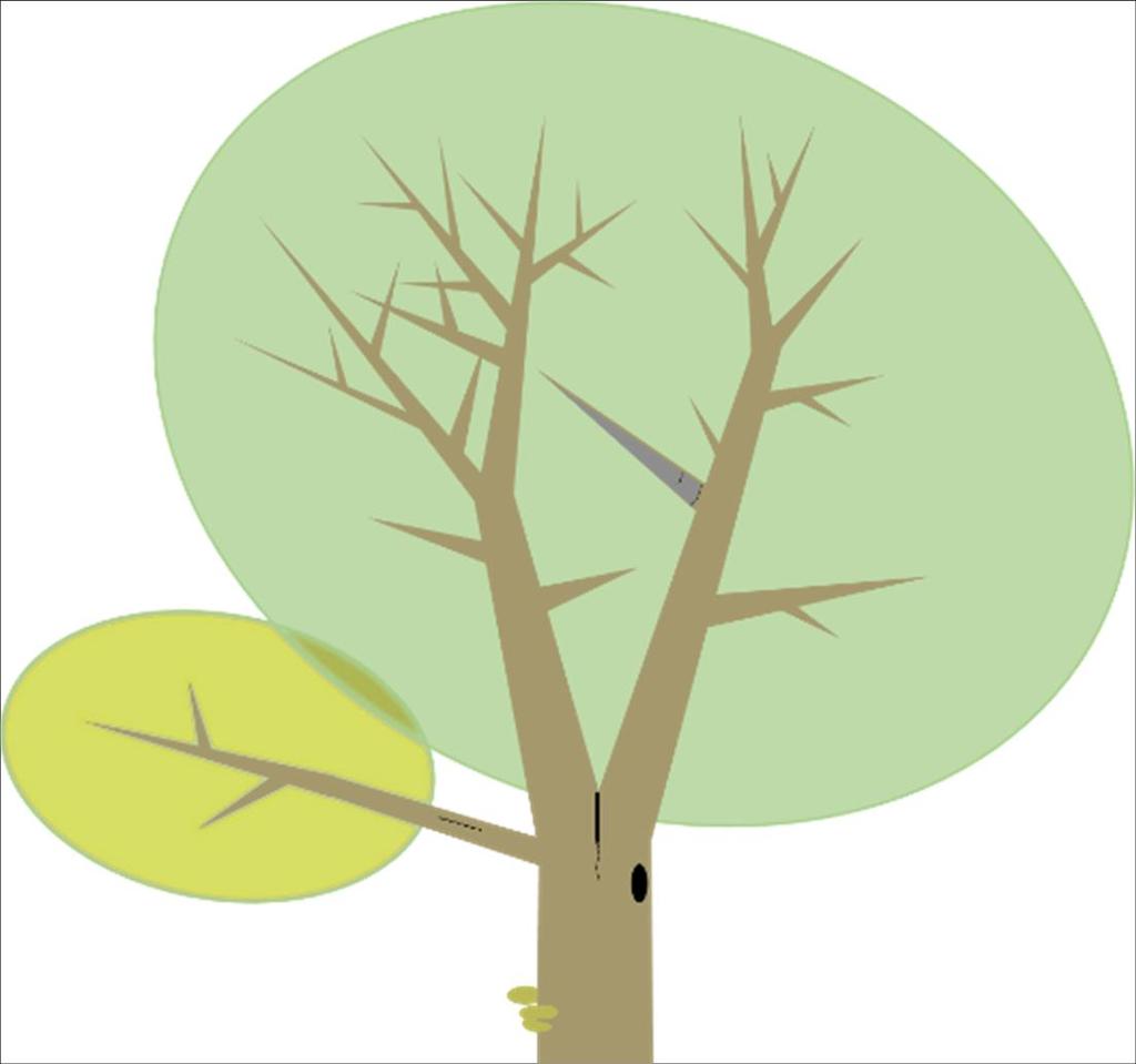 2. Trädets förutsättningar Trädets kondition Vitalitet Stressfaktorer Svagheter i förhållande till styrkor Kroppsspråket kan ge viktiga ledtrådar Trädsläkte Förmåga att hantera skador