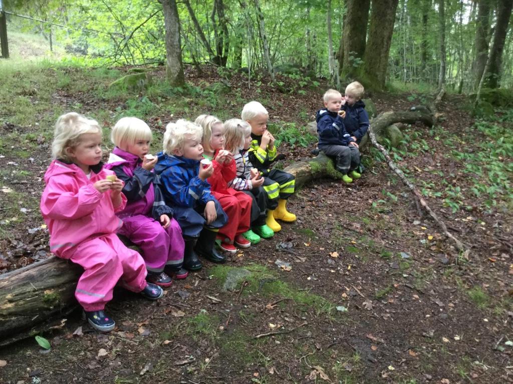 Lokal Pedagogisk Plan Hösten