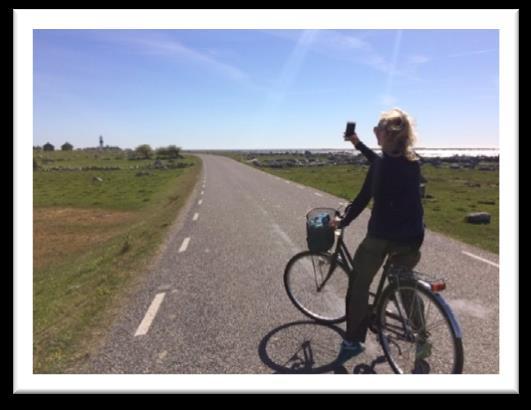 Bild 1: Bilvägen mot Ottenby fågelstation och Långe Jan Bild 2: Utsikt från Långe Jan Sammanfattningsvis Vår vandring landade på ca 65 km i en artrik miljö som bjöd på allt från lummiga skogar,