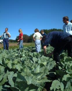 Seminarium med målet att informera Målet med seminariet på kvällen den 24 augusti är att informera varandra inom temaprojektet Odlingssystemets ekologi om de olika aktiviteter som äger rum och hur de