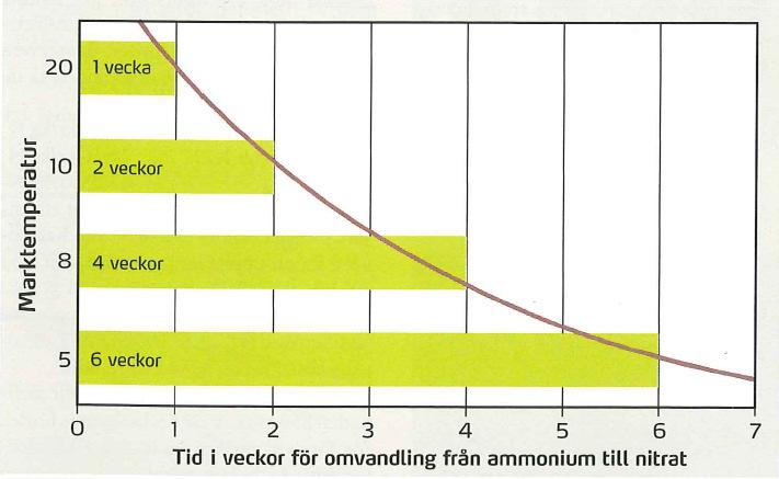Stallgödsel/biogödsel till potatis kan ge dålig kokkvalitet (osäker timing för N & K-leverans) Kvävets tillgänglighet för grödan beror på i vilken