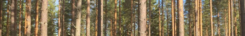 norr om, Emmeråsvägen ca 4 km öster om Slättberg och ca 7