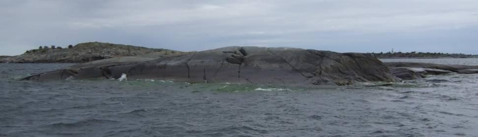 Transekt 12 TSK10 S om Långskär, Huvudskär Bild 36. Transektstart markerat med pil. Foto: Anna Engdahl. Beskrivning av transekten Transekten ligger i exponerad miljö i ytterskärgården.