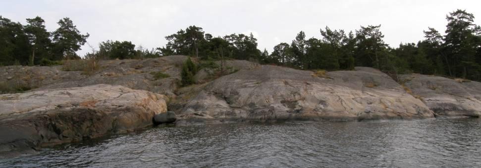 Transekt 16 TSU6 SV Fjärdlång Bild 52. Transektstart nedanför blocket som markeras med pil.