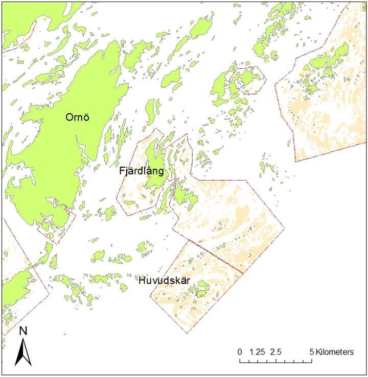 Resultat Dyktransekter Dyktransekterna presenteras här med text och bilder uppdelat per naturtyp.