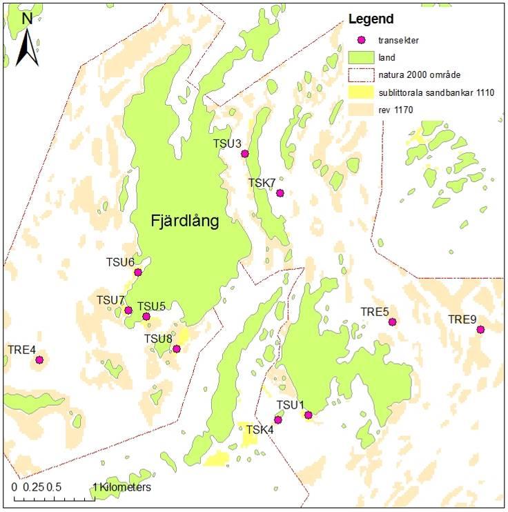 Karta 1B. Del av undersökningsområdet runt Fjärdlång och Ängsön.