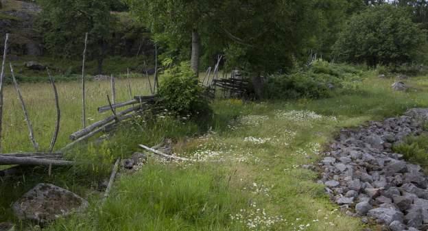 Söndagen den 27 maj: Utflykt till naturskyddsområde i Börshult, Boxholm Kl 14:00 vid adress Andersbovägen Södra Börshult 1, utanför Boxholm. Samåkning från Parkhallen kl 13:30. Medtag gärna eget fika.