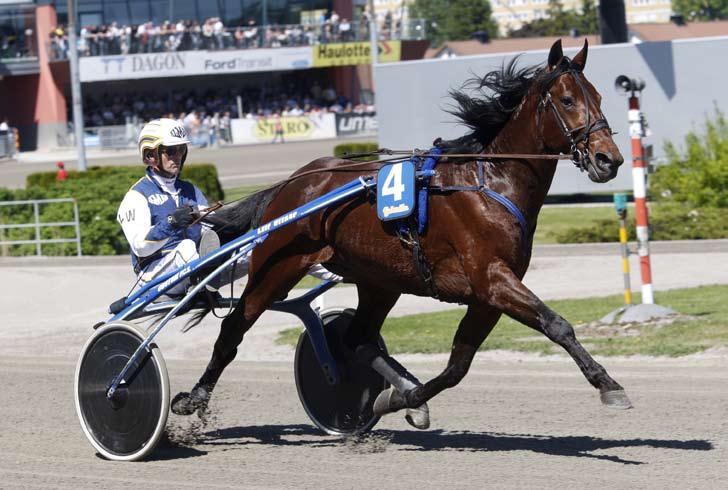 månadens häst juli 2009 Sergei Hanover Hingst 3 år e. Yankee Glide u. Sally Hanover ue. American Winner. Ägare: Leif Karlssons Grävmaskiner AB, m fl. Uppfödare: Hanover Shoe Farms Inc., USA.
