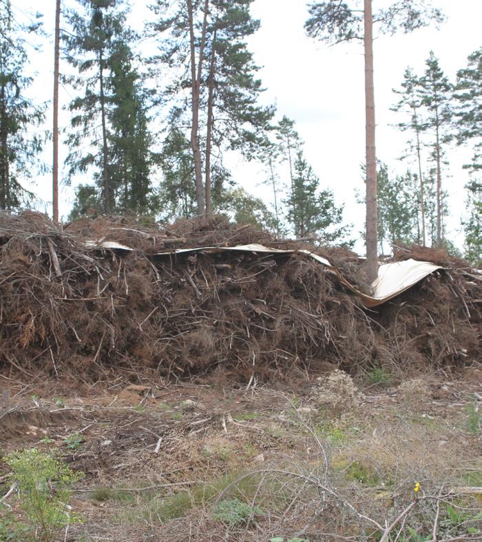 Vad är grot och bränsleved? Grot är en förkortning av GRenar Och Toppar. Enkelt uttryckt är grot den biprodukt som uppstår efter en avverkning.