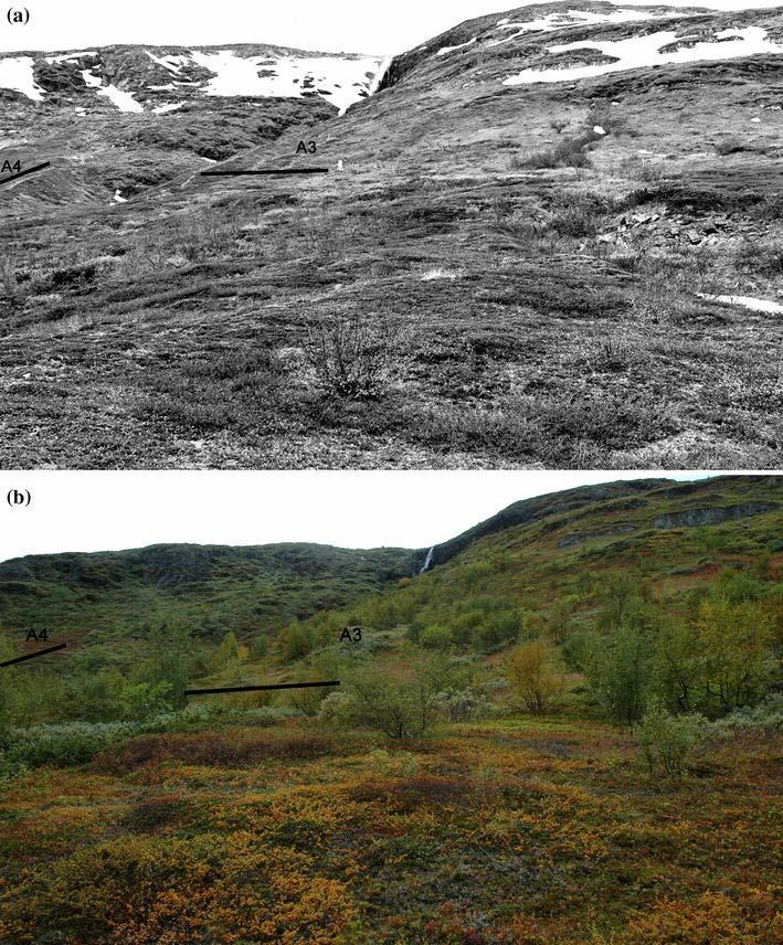 1977 29 Rundqvist et al. 211 Ambio 4: 683-692 Effekter av en fortsatta klimatförändring på vegetationen?