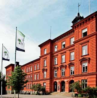 Årsrapport från direktören Kort