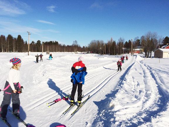 Några händelser från året som gått Kommunen först i länet med ny kampanj Enklare att lämna skrotbilar Under 2016 har miljö- och byggavdelningen lagt ned mycket arbete på olika insatser för att minska