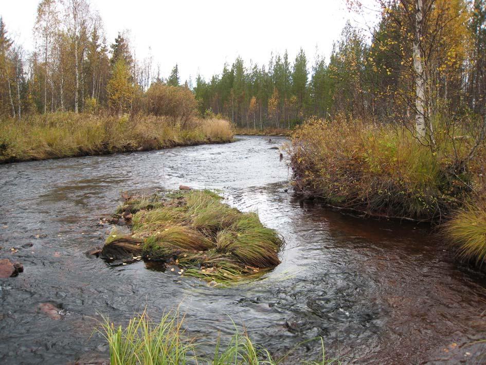 tillflöden