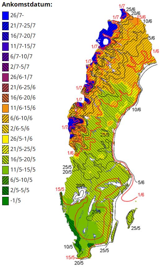 Mätdata för de tre objekten fanns tillgängliga för 12 månader tillbaka. Eftersom energibehovet varierar så mycket beroende på årstid togs beslutet att dela upp medelförbrukningen efter årstid.